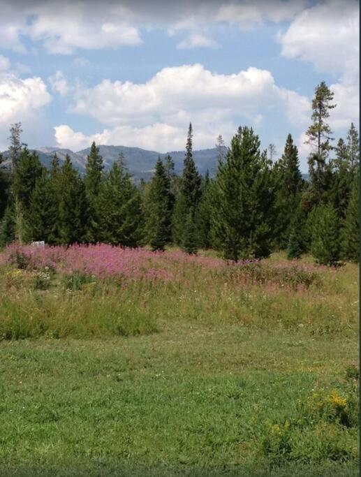 Lazy Fox Cabin West Yellowstone Exterior foto